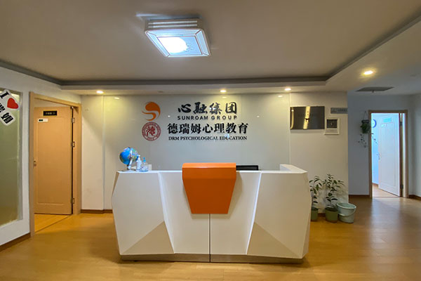 如何评价在德瑞姆心理教育机构学习心理咨询？